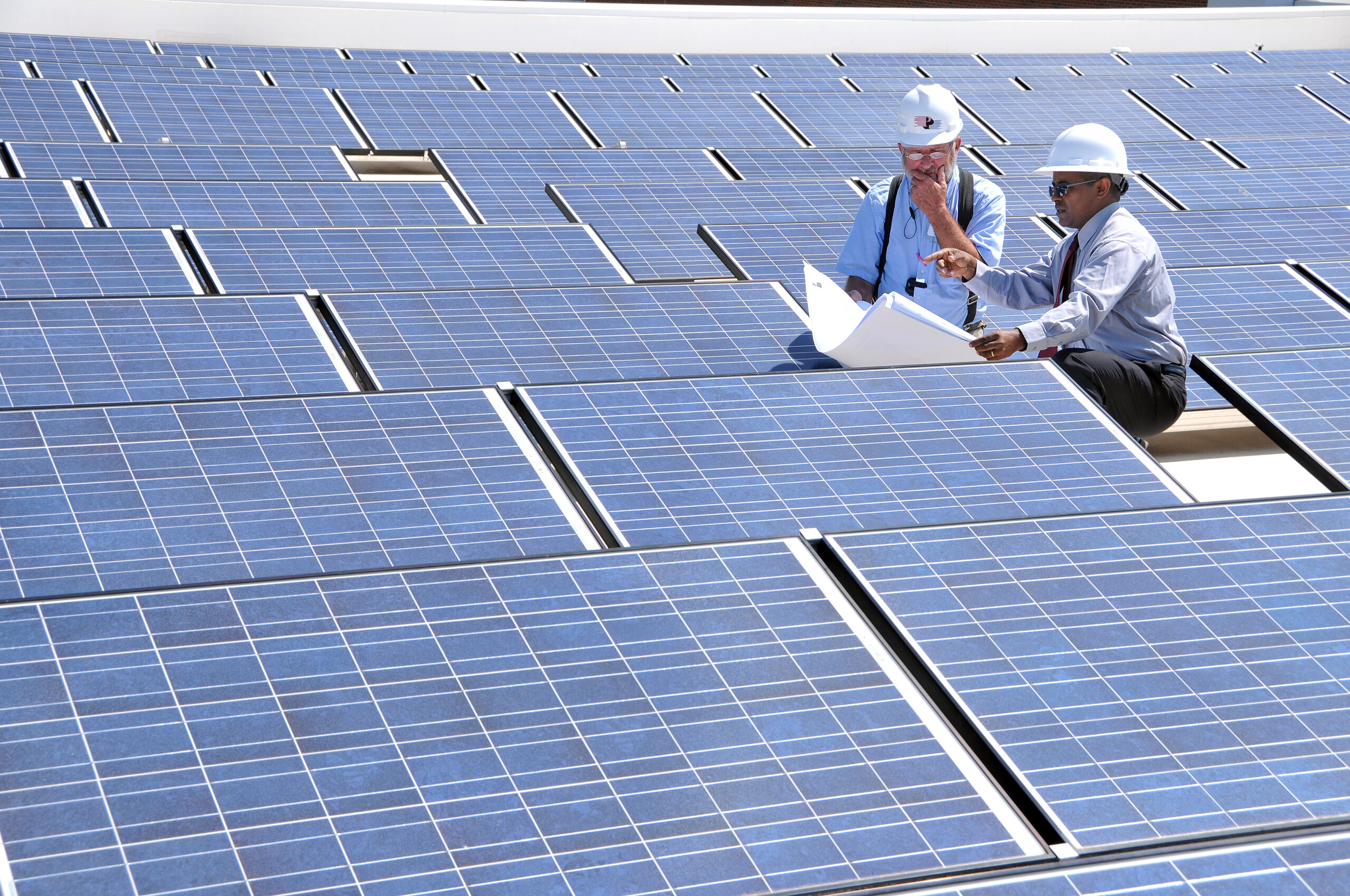 Two men with hardhats sit among rows of solar panels. One holds a large paper, pointing at it, while the other has his hand on his chin. 